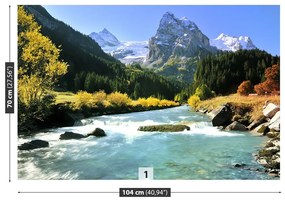 Fototapet Alpii elvețieni