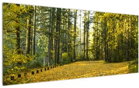 Tablou - pădurea toamna (120x50 cm), în 40 de alte dimensiuni noi