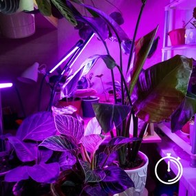 Lampă LED dimabilă cu clemă pentru creșterea plantelor Brilagi VITABLOOM 3xLED/10W/230V