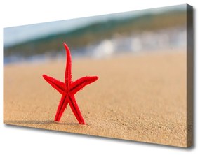 Tablou pe panza canvas Plaja Starfish Art Red