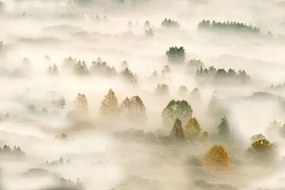 Fotografie Autumn dream, Roberto Marini