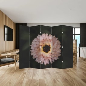 Paravan - Floare portocalie (210x170 cm)