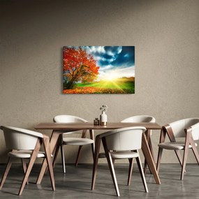 Tablou peisaj cu scufundat în razele solare (90x60 cm)
