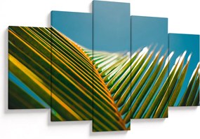 Tablou - Frunze de palmier (150x105 cm)