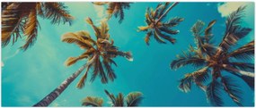 Tablou - Palmieri înalți (120x50 cm)