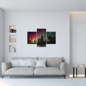 Tablou cu Northern Lights (90x60 cm)