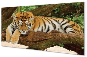 Tablouri acrilice tigru copac
