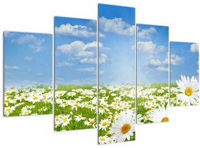 Tablou cu luncă înflorită cu margarete (150x105 cm)