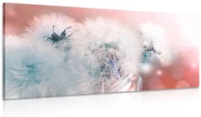 Tablou păpădie cu elemente abstracte