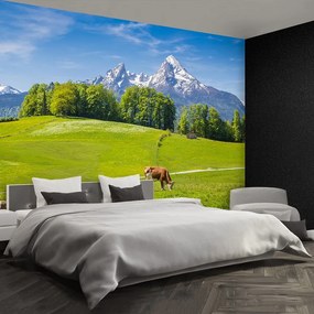 Fototapet Alpi Cow