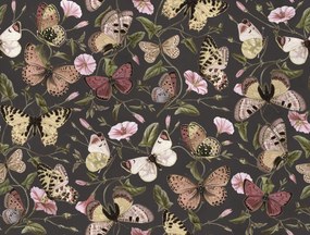 Fototapet, Butterflies, Midnight, Rebel Walls