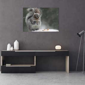 Tablou - Veveriță iarna (90x60 cm)