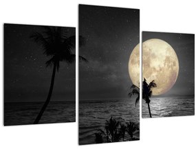 Tablou - Plaja cu lună plină, nuanțe gri (90x60 cm)