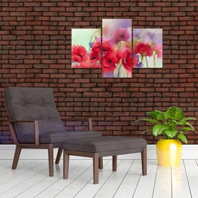 Tablou - Maci (90x60 cm)