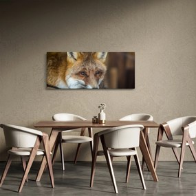 Tablou cu vulpe (120x50 cm)