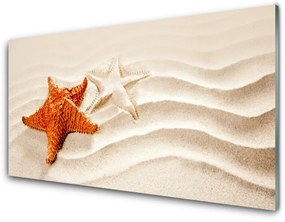 Tablouri acrilice Starfish Sand Art Orange Alb Brun