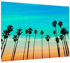 Tablou pe sticlă - California (70x50 cm)