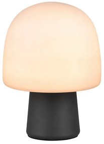 Veioză neagră-albă cu abajur din sticlă (înălțime 27 cm) Steen – Trio