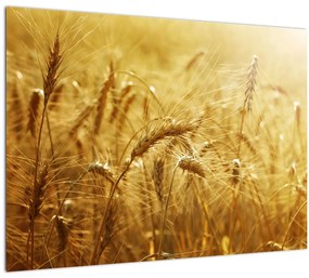 Tablou - Spice de cereale (70x50 cm)