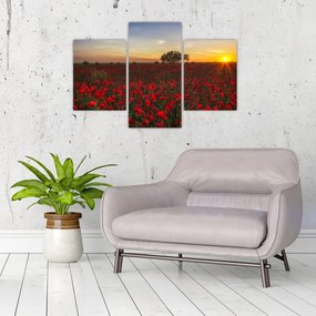 Tablou cu lunca și macii (90x60 cm)