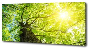 Imprimare tablou canvas Primăvară castan