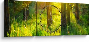 Tablou - Trezirea de primăvară a pădurii (cu ceas) (90x30 cm)