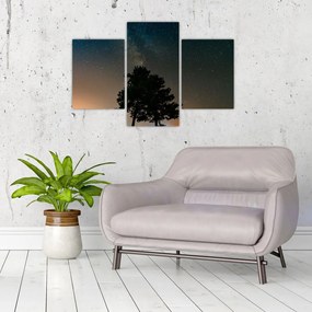 Tablou cu cerul nocturn și copaci (90x60 cm)