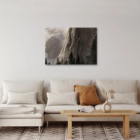 Tablou din valea Yosemite parcul național, SUA (70x50 cm)