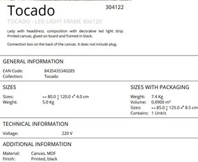 Tablou cu iluminat LED imprimat pe panza Tocado 80x120cm