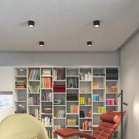 Spot LED dimabil KELLY 15W/230V negru RED-Design Rendl-R12634