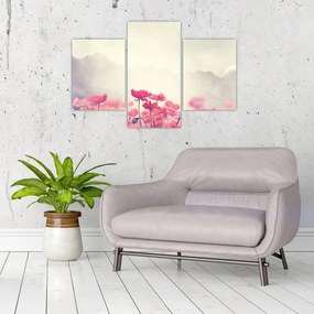 Tablou - Maci (90x60 cm)