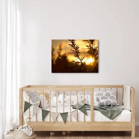 Tablou - Apus de soare (70x50 cm)