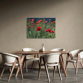 Tablou pe sticlă - Lunca cu maci (70x50 cm)