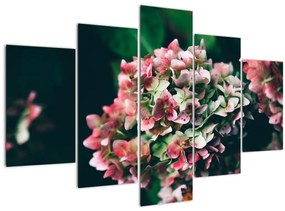 Tablou - Hortensie (150x105 cm)