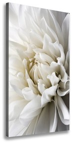 Print pe pânză Dahlia alb