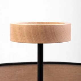 Lustră aplicată ALBA 3xE27/15W/230V Ø 40 cm negru/maro