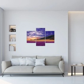 Tablou cu lunca cu lavandă (90x60 cm)