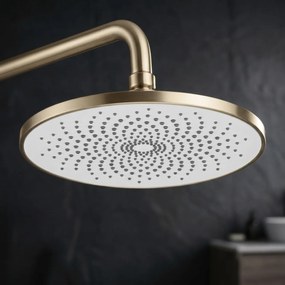 Set dus Rea Rivo Brush Gold