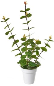 Plantă artificială – Casa Selección