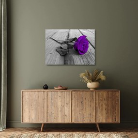 Tablou pe sticlă - Trandafir violet cu tulpina verde (70x50 cm)