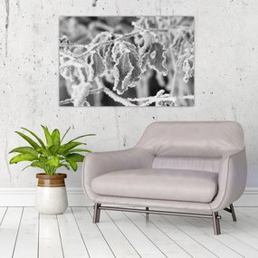 Tablou - Frunze înghețate,alb-negru (90x60 cm)