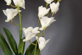 Aranjament floral elegant, design LUX ETERNITY ALFEO CYMBIDIUM