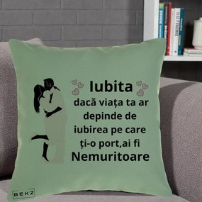 Cadou pentru Iubita - Perna Personalizata Iubita Nemuritoare cu Siluete de Cuplu, 40x40 cm, Verde, Husa Detasabila, Perna Inclusa, BEKZ®