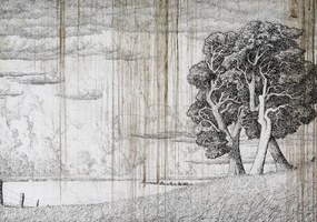 Fototapet - Copac - hârtie veche (254x184 cm), în 8 de alte dimensiuni noi