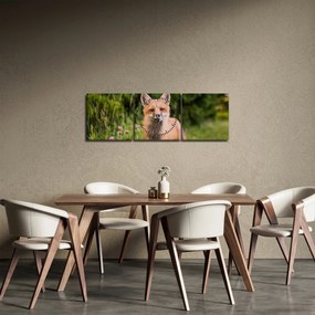 Tablou cu vulpe (cu ceas) (90x30 cm)