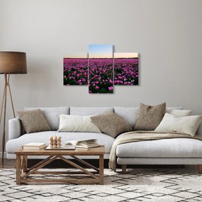 Tablou - Pajiștea cu lalele violet (90x60 cm)