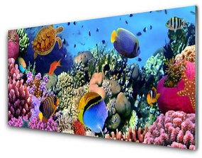 Tablou pe sticla Coral Reef Natura Multi