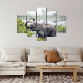 Tablou - Elefant de scăldat (150x105 cm)