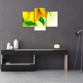 Tablou cu lămâi (90x60 cm)