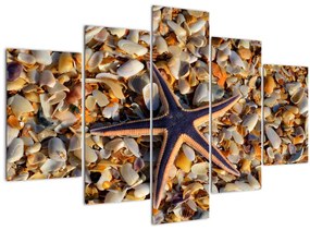Tablou cu stea de mare (150x105 cm)